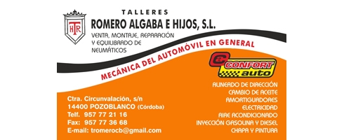 talleres-romero-algaba-e-hijos-slBFF82E8E-3C70-10BB-3E55-B5F071783FE9.jpg